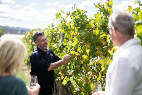 Bangor wine tasting vineyard tour.