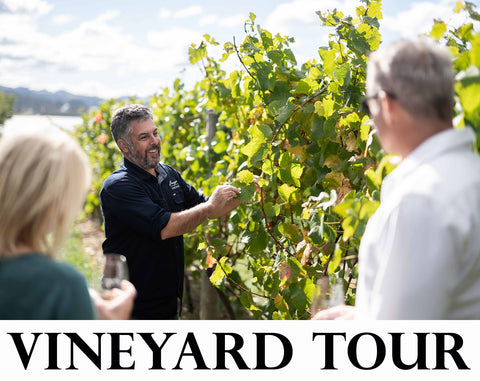 Bangor Vineyard Tour with Matt