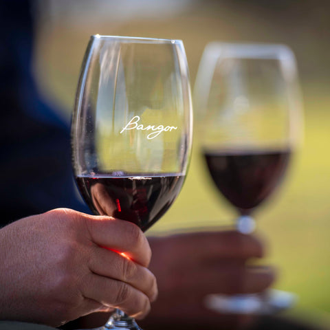 Wine tasting afternoon at Bangor Vineyard Shed Tasmania