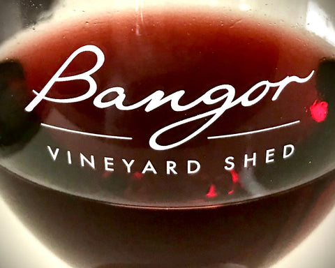 PLUMM Wine Tasting Masterclass at Bangor