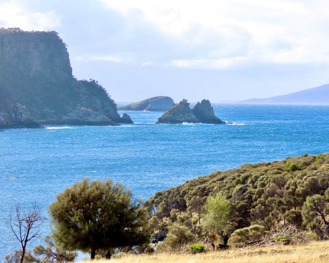 Image of Lagoon Bay for the history talk with Tom Dunbabin at Bangor Vineyard Shed.