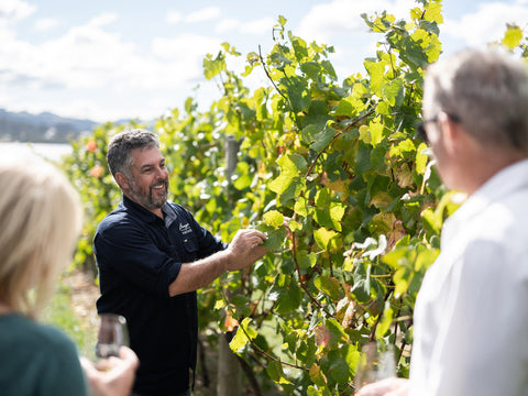 Bangor Vineyard Tour, Tasmanian Wine