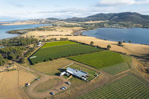 Bangor Vineyard Shed, Tasmanian winery with stunning views.