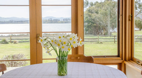 Bangor cottage - accommodation at Bangor Tasmania