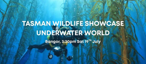 Tasman Wildlife Showcase - Underwater World