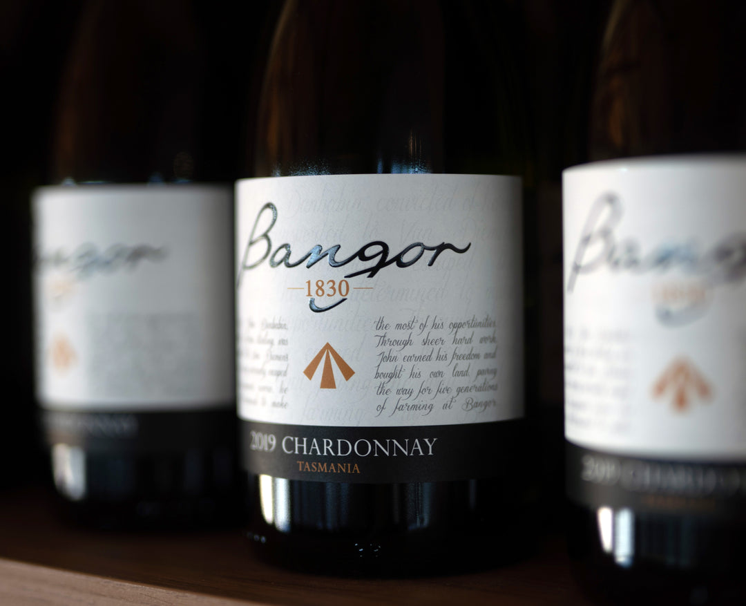 Wine Tasting Bangor Vineyard Shed