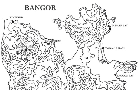 Bangor Reserve Pinot Noir (2021)