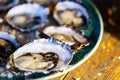 Raw oysters on a bed of salt with a blurred background
