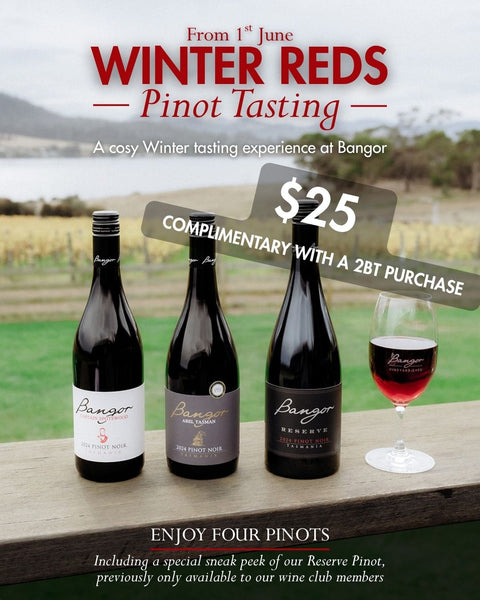 Winter Reds Pinot Tasting