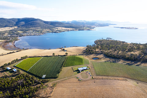 Bangor Vineyard Tour Tasmania