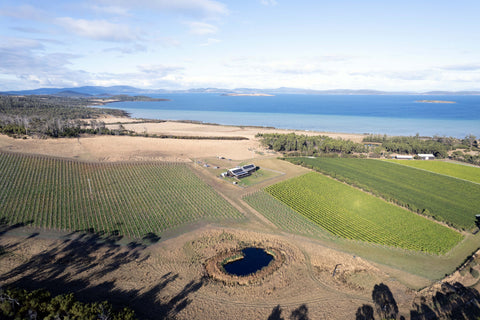 Aerial view of Bangor Vineyard Tasmania