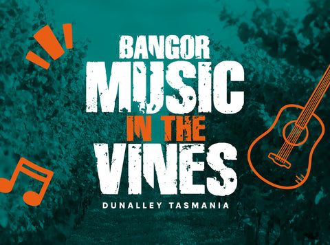 Bangor Music in the Vines, live music festival, Dunalley, Tasmania