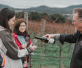 Bangor Vineyard Tour