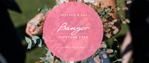 Mother's Day at Bangor