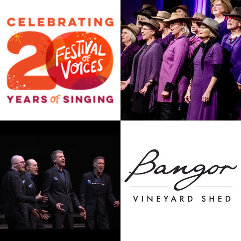 Festival of Voices - Bangor Pop Up - 28 June