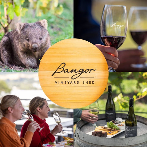 Bangor 11th Birthday weekend celebrations, 29th Nov-1st Dec