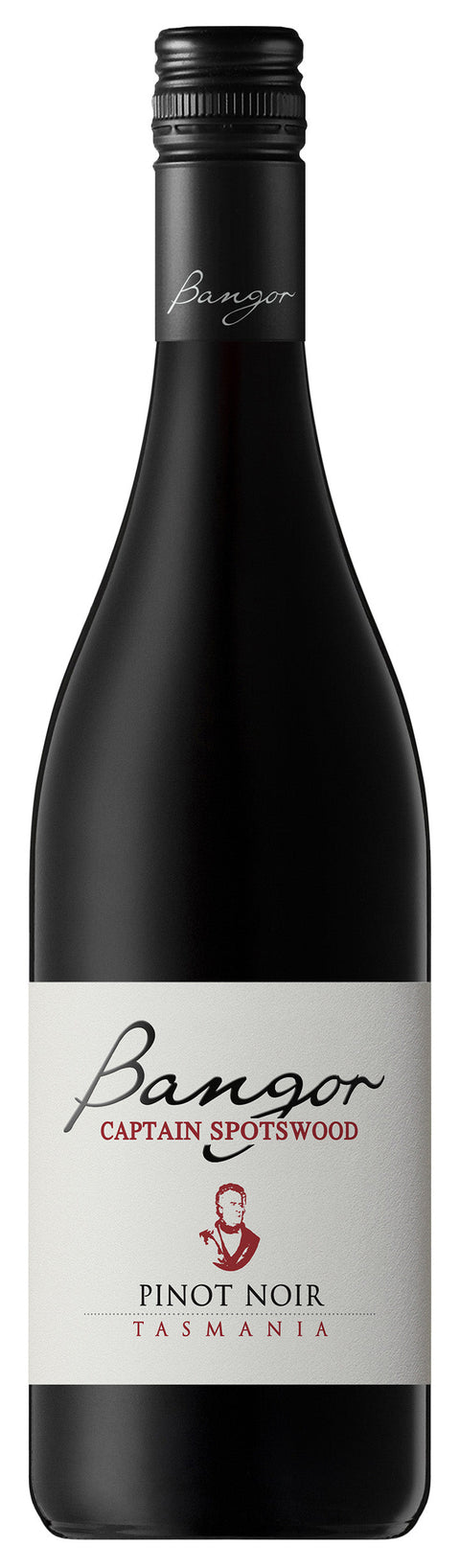 Mixed 2024 Pinot Pack