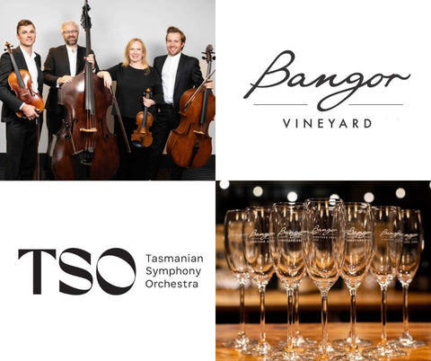 Spring Strings | TSO at Bangor - 17th Oct (Wine Club)