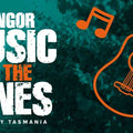 Bangor music in the vines festival tickets