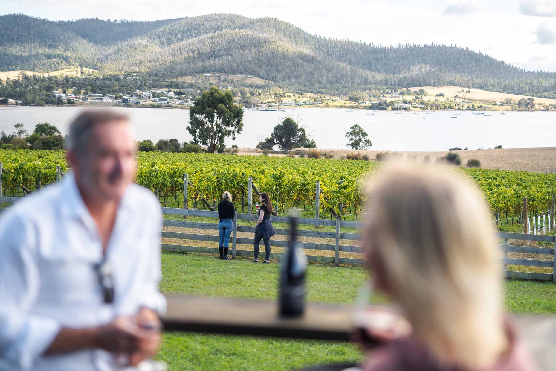 Bangor Vineyard Shed Tasmania's Best Wine, Views, Stories, Food