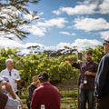 Bangor Wine Tasting in the vines tour Tasmania